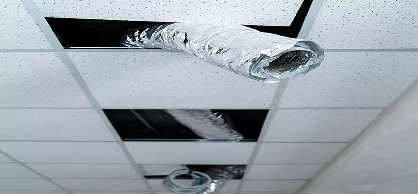 Our Air Duct Pet Hair Removal Services in Atlantic City, NJ