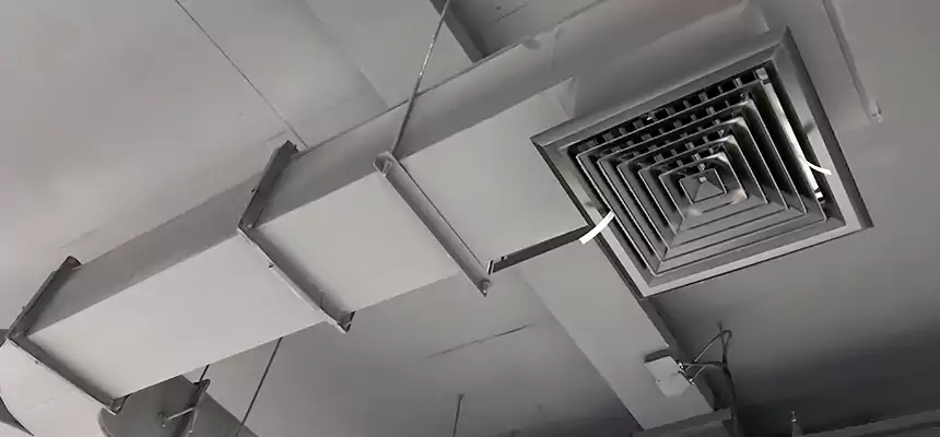 Restorative Allergy Relief Vent Cleaning – Coil, Blower & Housing Detail in Atlantic City