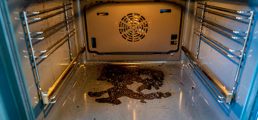 Our Dryer Vent Mold Cleaning Services in Atlantic City, NJ