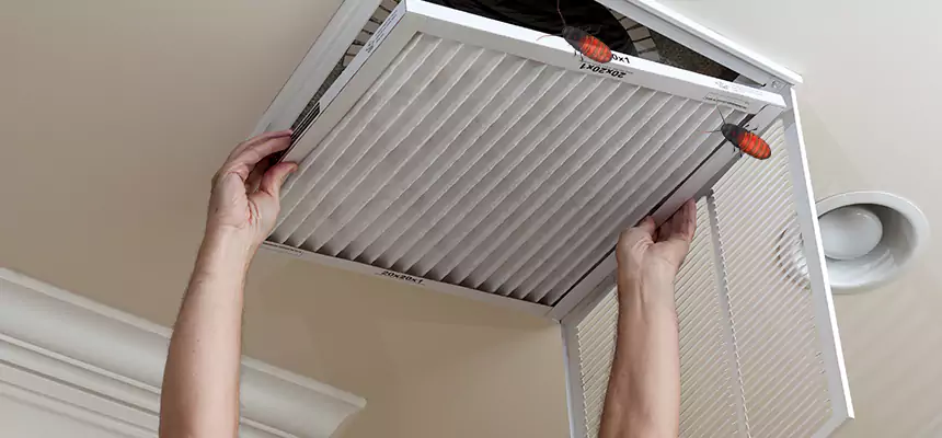 Our Insect Removal from Air Ducts Services in Atlantic City, NJ