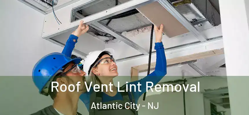  Roof Vent Lint Removal Atlantic City - NJ