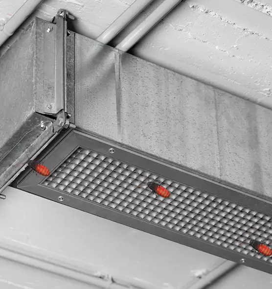 About Air Duct Cockroach Removal in Atlantic City, NJ