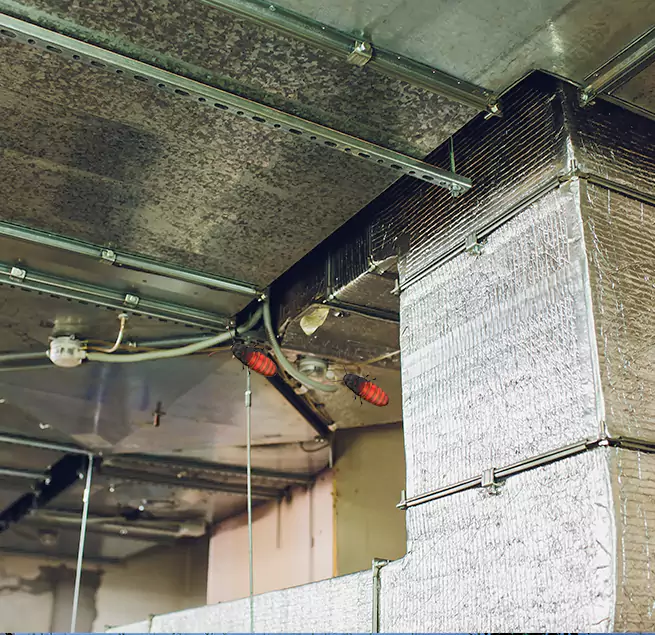 Why Homeowners & Businesses Trust Us in Atlantic City, NJ?