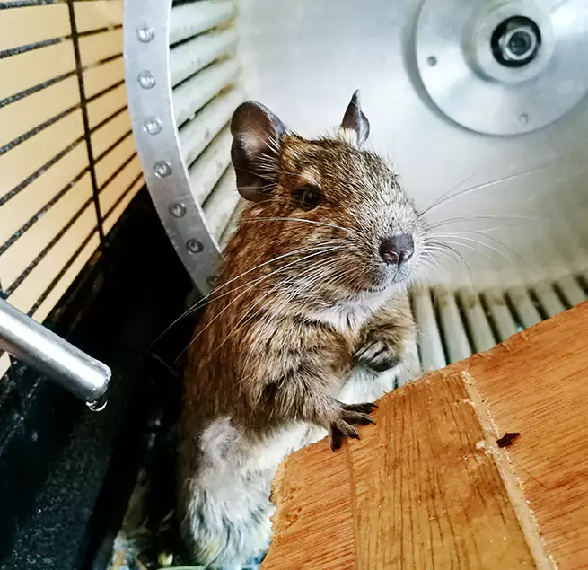 Why Homeowners & Businesses Trust Us Atlantic City, NJ