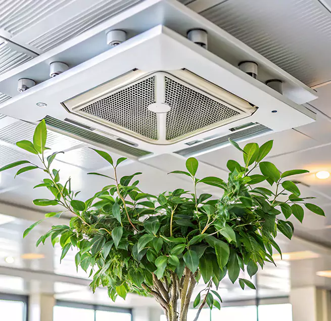 Why Homeowners & Businesses Trust Us in Atlantic City, NJ