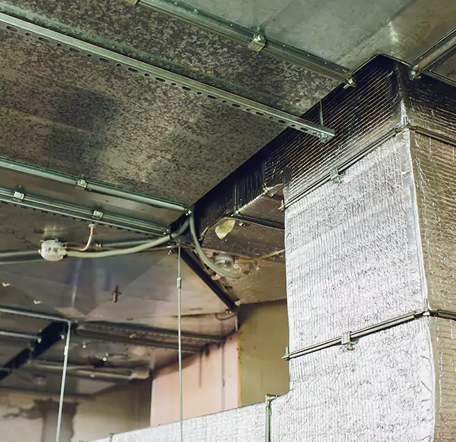 Why Homeowners & Businesses Trust Us in Atlantic City, NJ?